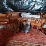 Doris Bink - @binkdoris - Instagram