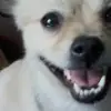 Littlebit - @dorisbrinkley7 - TikTok