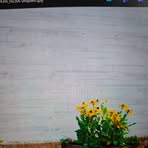 Doris Bird - Facebook