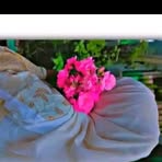 Doris Birdwell - Facebook