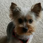 Doris Birdwell - Facebook