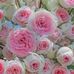 Doris Kinlaw - Facebook