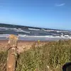 dorisbishop7 - @dorisbishop7 - TikTok