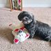Doris Blair  - Facebook