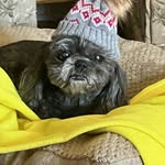 Doris Blair - @doris.blair.79677 - Instagram