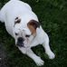 Doris Blanchette - Facebook