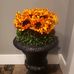 Doris Bland - Facebook