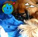 Doris Blanke - Facebook