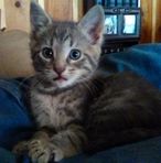 Doris Blanton - Facebook