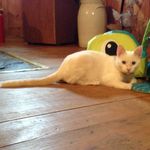 Doris Blanton - @doris.blanton49 - Instagram