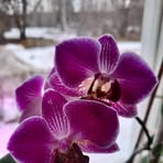 Doris Blom - Facebook