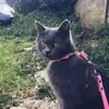bluedoris1 - @bluedoris1 - TikTok