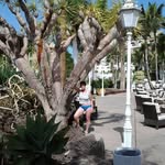 Doris Blume - @doris.blume.96 - Instagram