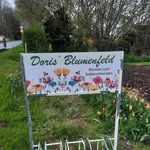 Doris Götz - @_dorisblumenfeld_ - Instagram