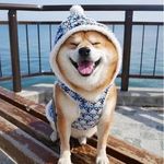 Bblythe Doris - @doris.bblythe - Instagram
