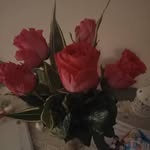 Doris Boardman - @doris.boardman - Instagram
