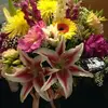 Doris Bobo - @doris.bobo - TikTok
