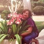 Doris Boboescu - @dorisboboescu - Instagram