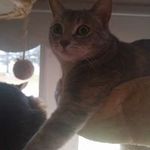 Autumn Doris Boden - @dorisboden - Instagram