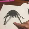 Doris Bondin - @dorisbondin - TikTok