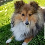 Doris Bögner - @doris.boegner - Instagram