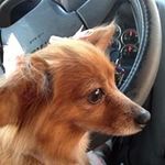 Doris Boehm - @dboehm47 - Instagram