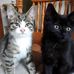 Doris Boehm - Facebook