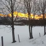 Doris Boehm - @d.boehm2707 - Instagram