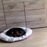 Dorothea Börger - @bogerdoris57 - Instagram