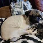 Doris Bolton - @doris.bolton.56808 - Instagram