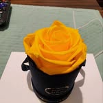Doris McLean Bonds - @bonds.doris - Instagram