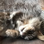 Doris Booken - @dorisbooken - Instagram
