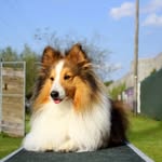 Doris Münch - @doris.booker1207 - Instagram