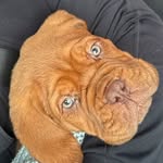 Dennis & Doris - @dennisochdorisdebordeaux - Instagram