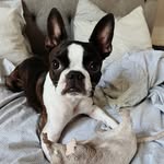 bostondorisen - @bostondorisen - Instagram