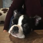 Doris - @bostondoris - Instagram