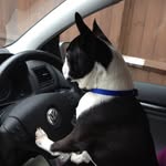 Doris Lewis - @dorisbossyboston - Instagram