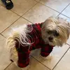 user7317922861101 - @dorisboston - TikTok