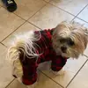 user7317922861101 - @dorisboston - TikTok