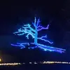 dorisbottenfieldr - @dorisbottenfieldr - TikTok
