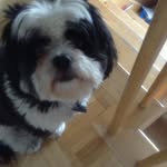 Doris Boucher - @dorisboucher738 - Instagram