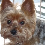 Doris Boucher - @doris.boucher72 - Instagram