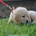 Doris - @dorisboucher_ - Instagram