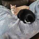 Doris Bowden Labrecque - @dlredsox04 - Instagram