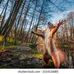Doris Bowens - Facebook