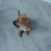 Doris Bowles - Facebook