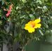Doris Bowles - Facebook