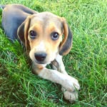 Doris "Dori" Bowman - @doribowman - Instagram