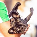 Box by Doris 🐶 - @boxbydoris - Instagram