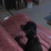 Doris Box - Facebook